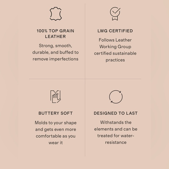 Quince 100% Leather motorcycle jacket - Picture 13 of 13